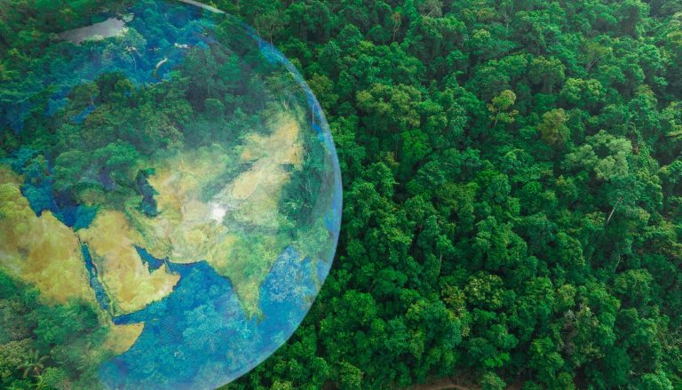 Ensuring Quality in Green Tourism Innovation