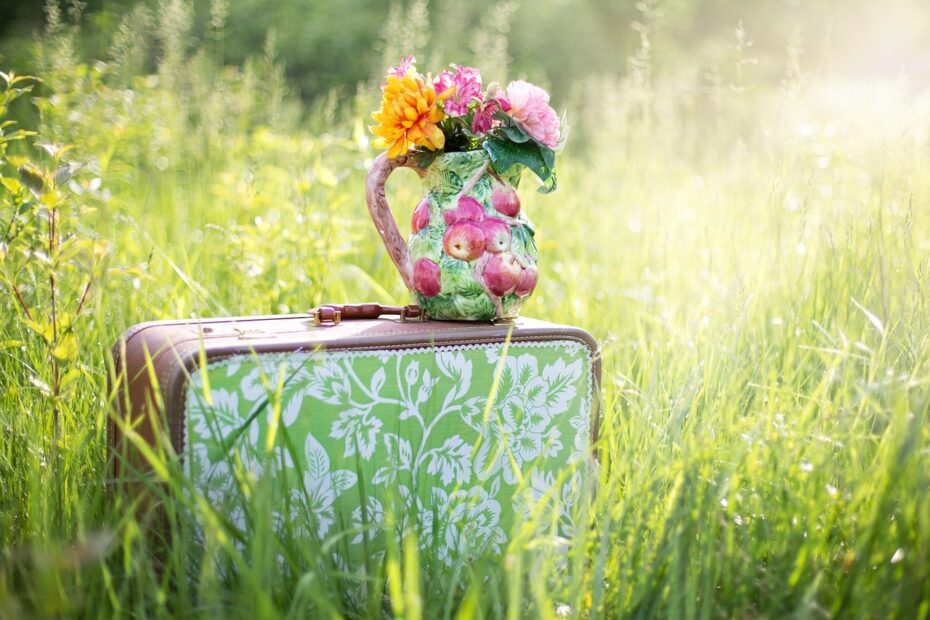 suitcase in the middle of grass