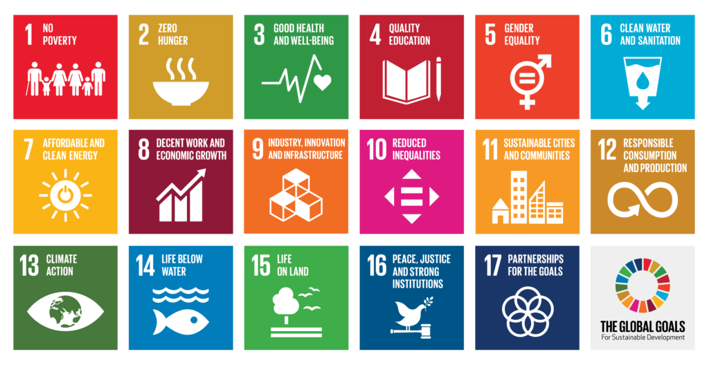 picture of SDGs