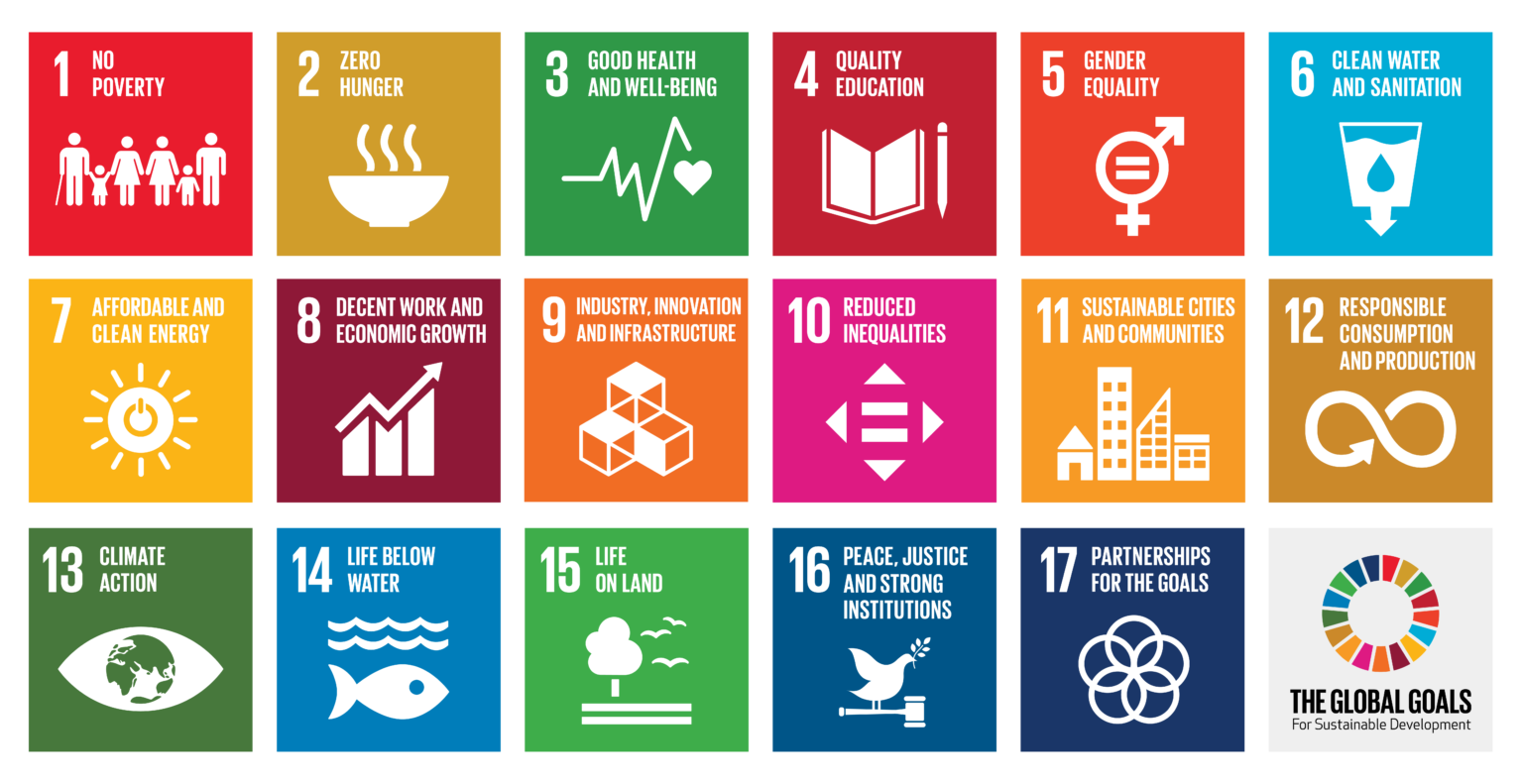 picture of SDGs